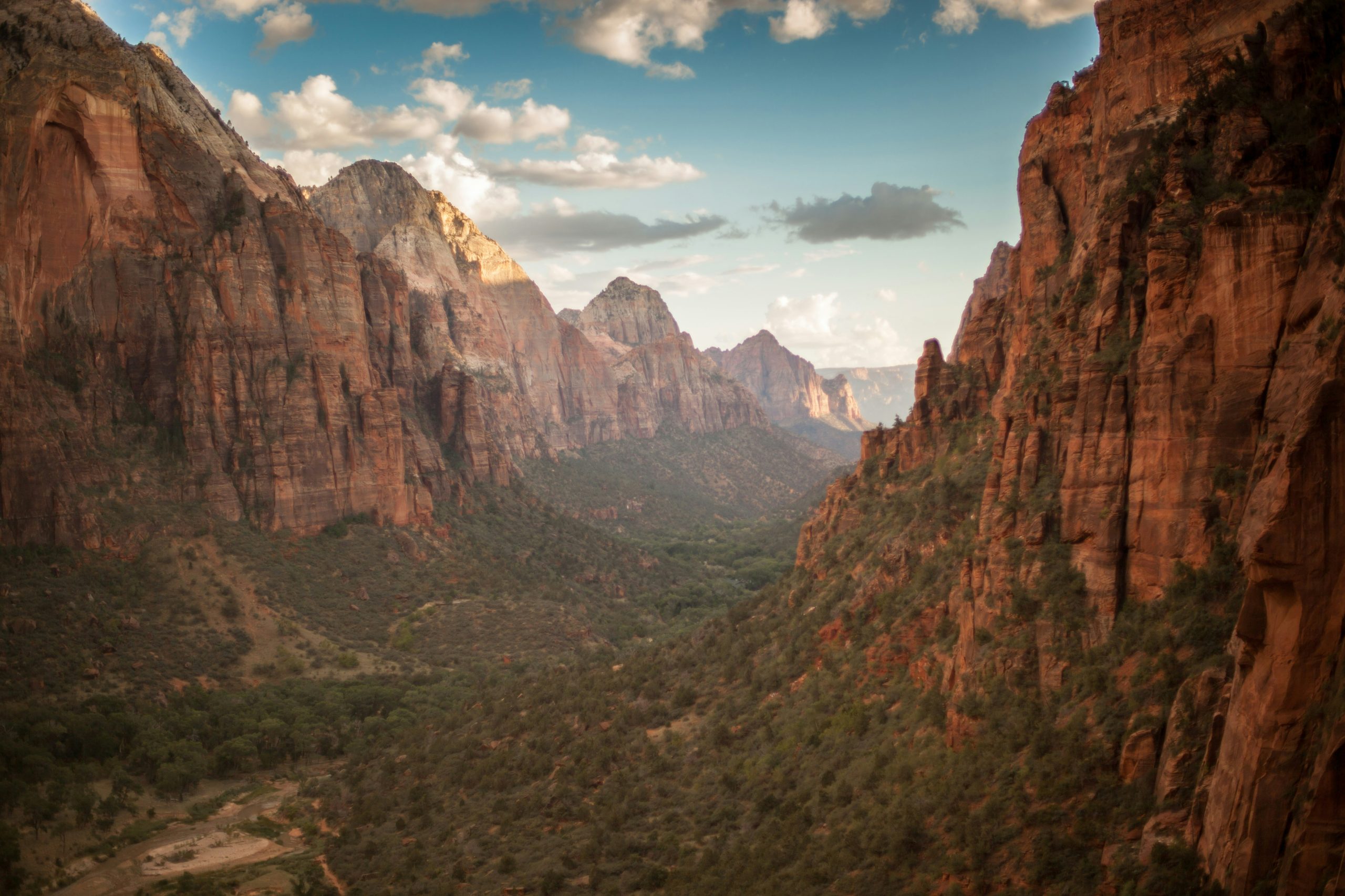 Scenic view of Zion National Park with towering red rock cliffs and clear blue skies.