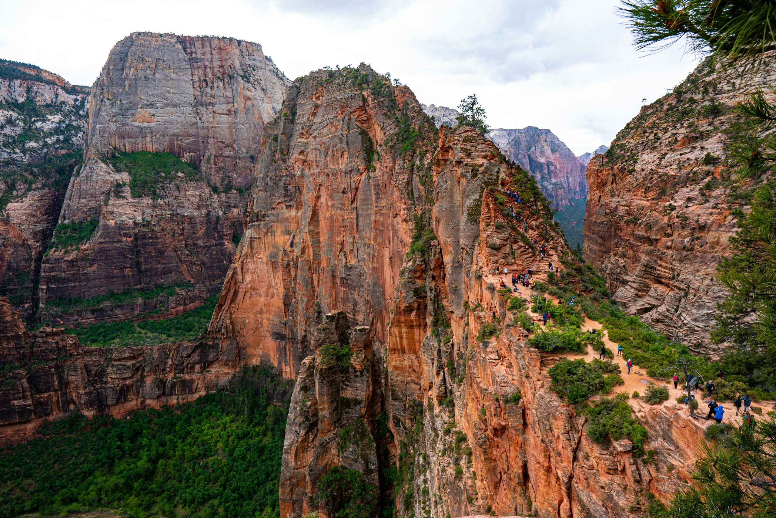 Hikers making their way up the narrow ridge of Angels Landing in Zion National Park, surrounded by towering red rock cliffs and lush canyon views.