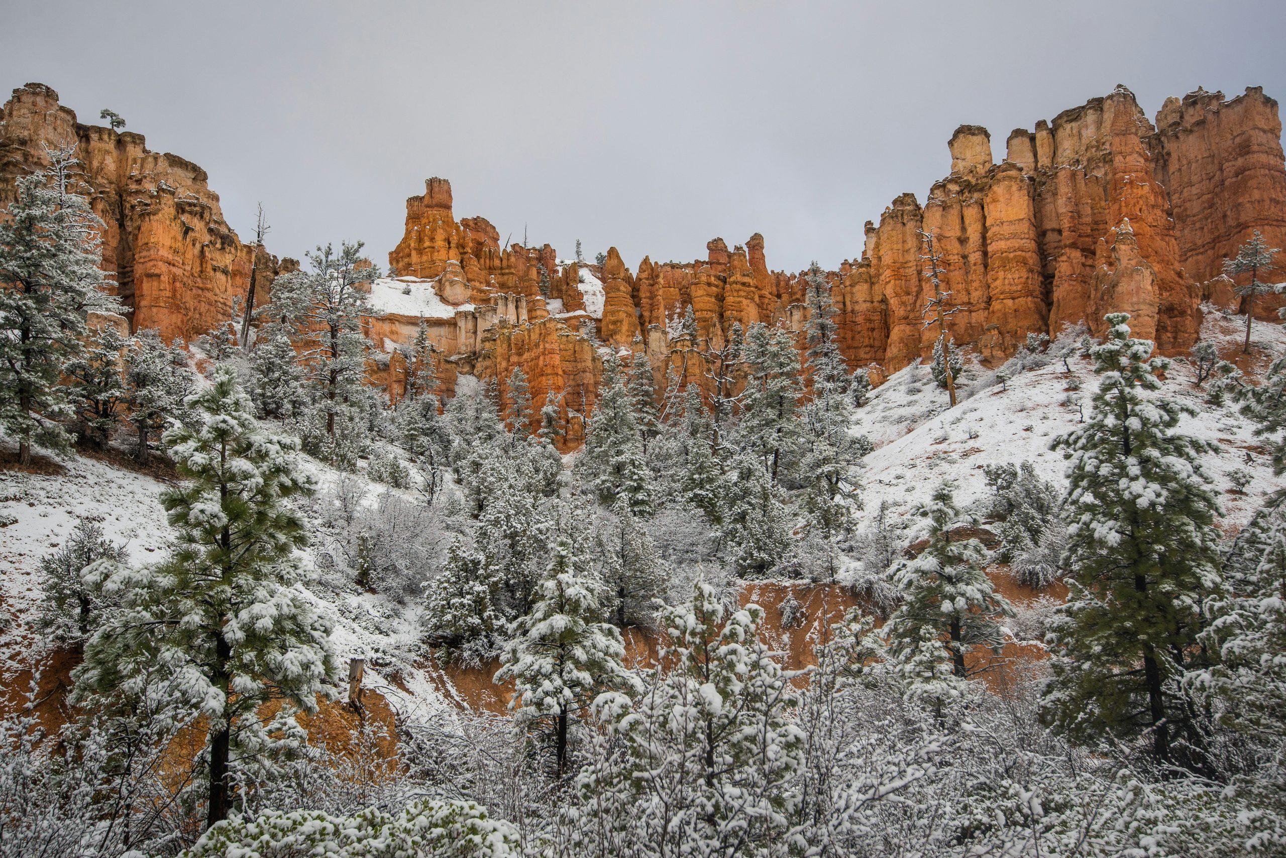 Scenic view near Apple Valley, Utah, showcasing local seasonal events and outdoor activities.