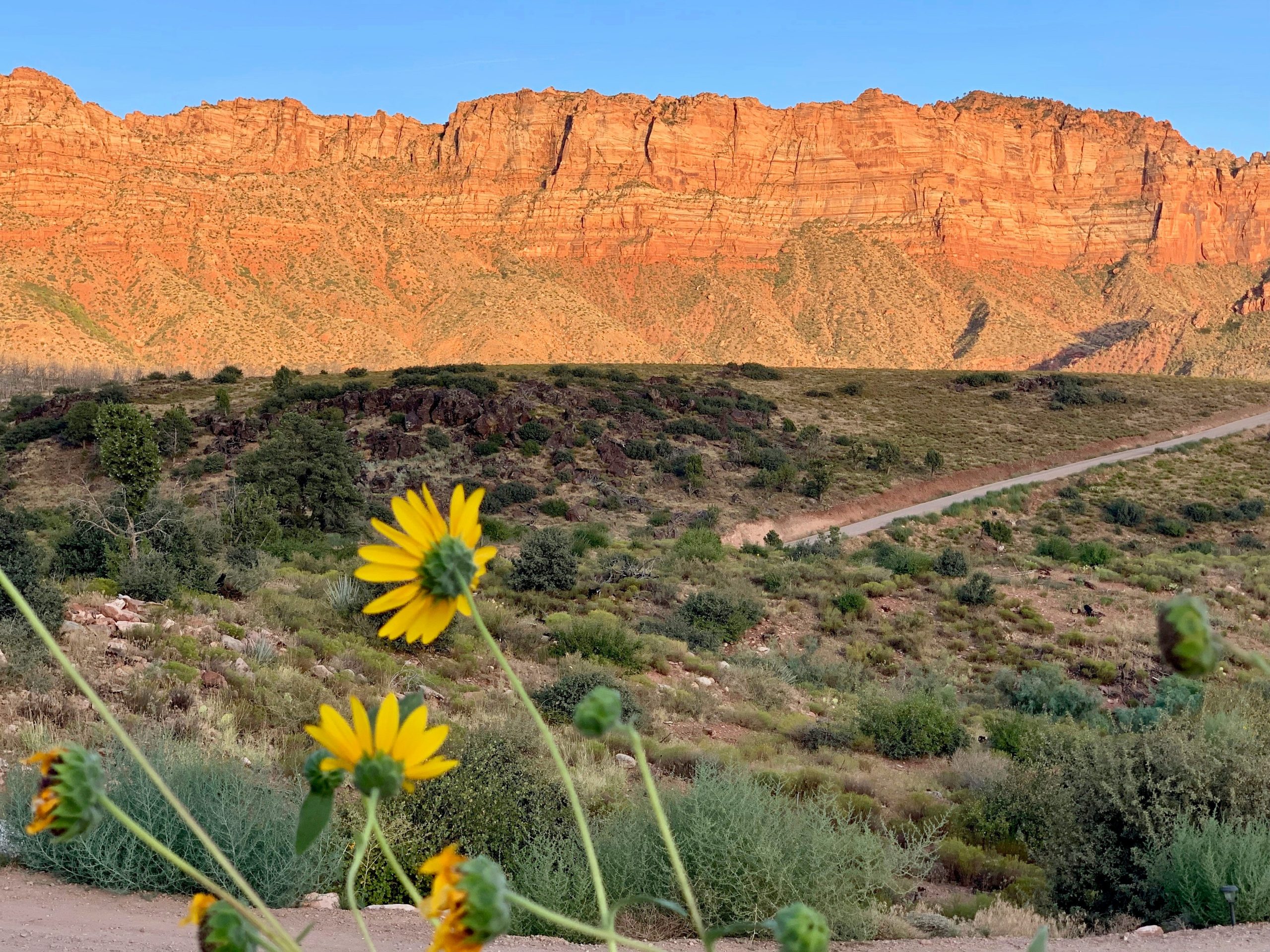 RV packing list essentials for a stress-free camping experience near Zion National Park.